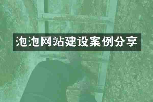 泡泡网站建设案例分享