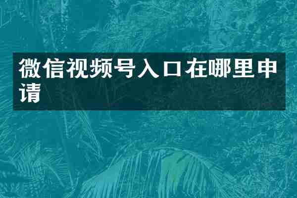 微信视频号入口在哪里申请