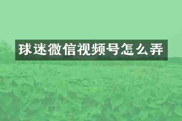 球迷微信视频号怎么弄