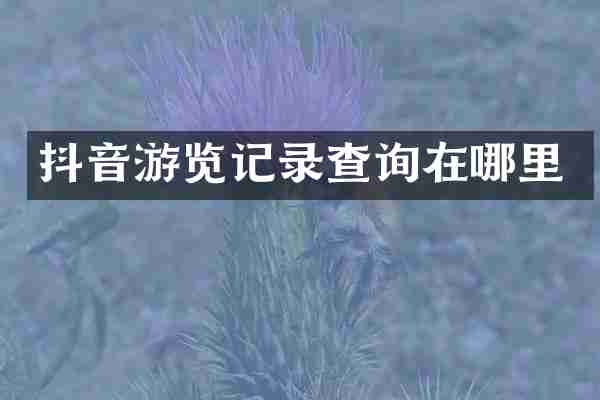 抖音游览记录查询在哪里