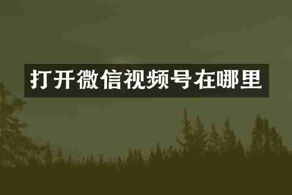 打开微信视频号在哪里
