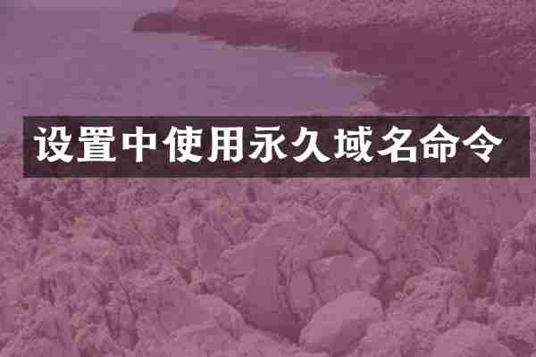 设置中使用永久域名命令
