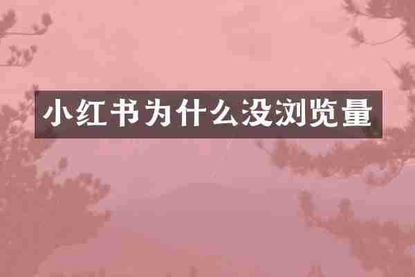 小红书为什么没浏览量