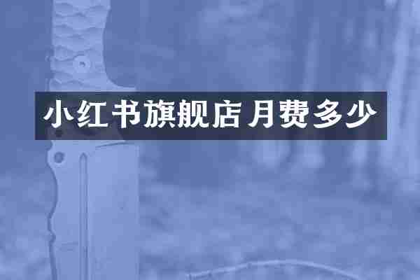 小红书旗舰店月费多少