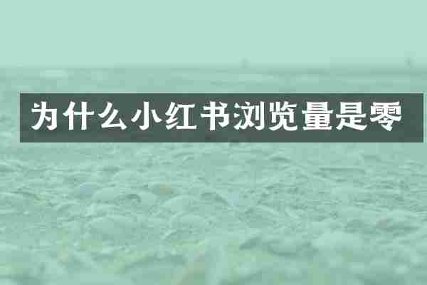 为什么小红书浏览量是零