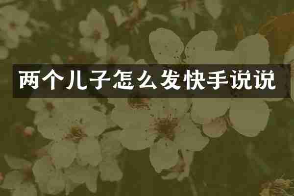 两个儿子怎么发快手说说