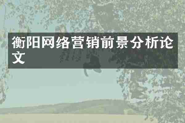 衡阳网络营销前景分析论文