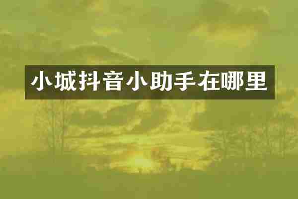 小城抖音小助手在哪里