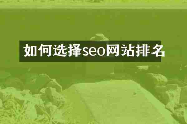 如何选择seo网站排名