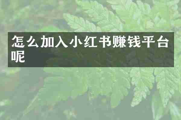 怎么加入小红书赚钱平台呢
