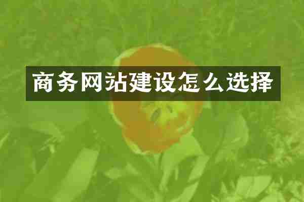 商务网站建设怎么选择