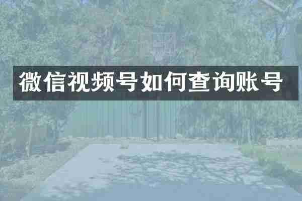 微信视频号如何查询账号
