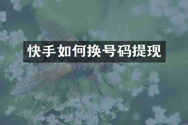 快手如何换号码提现