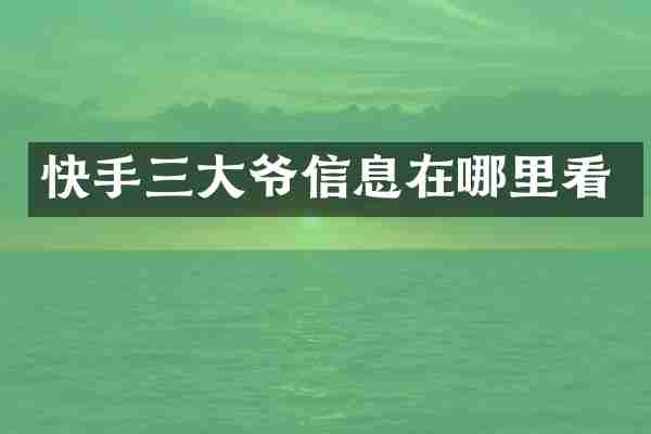 快手三大爷信息在哪里看