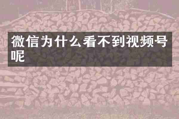 微信为什么看不到视频号呢