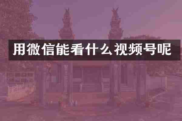 用微信能看什么视频号呢