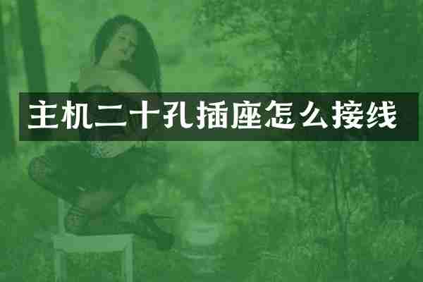 主机二十孔插座怎么接线