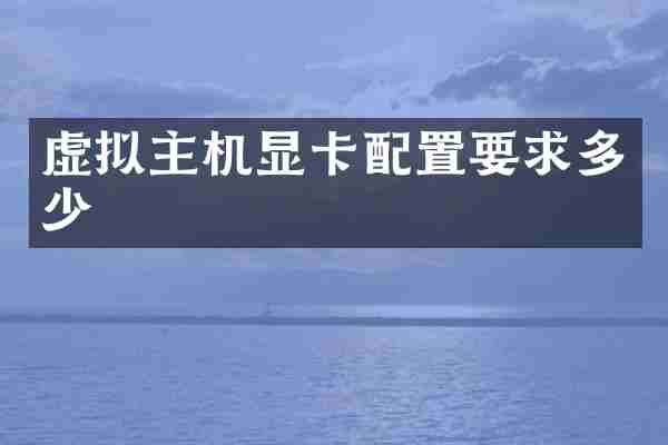 虚拟主机显卡配置要求多少