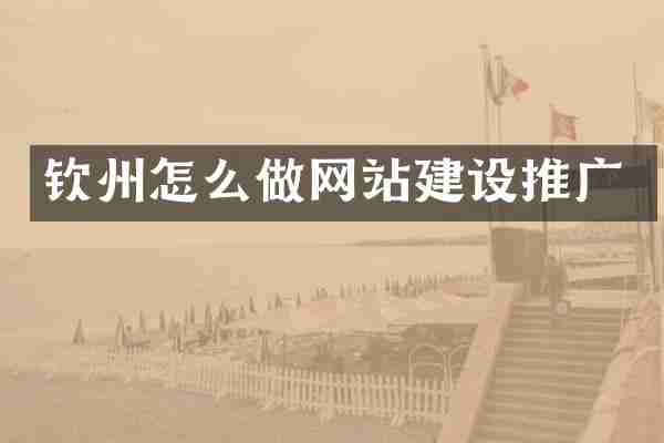 钦州怎么做网站建设推广