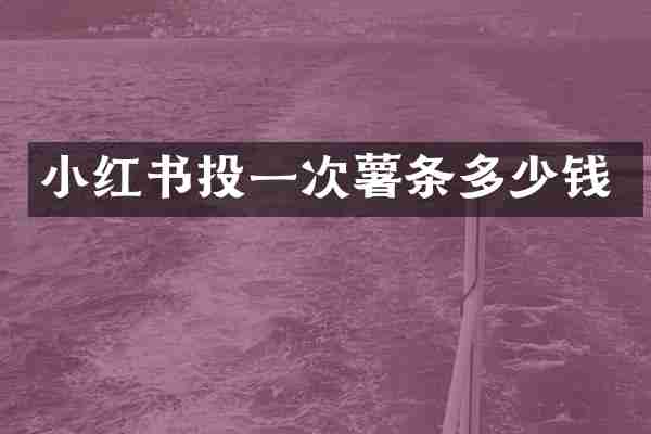 小红书投一次薯条多少钱