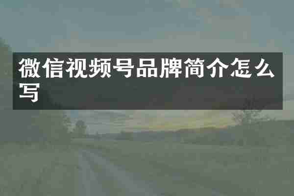 微信视频号品牌简介怎么写
