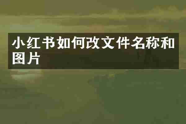 小红书如何改文件名称和图片