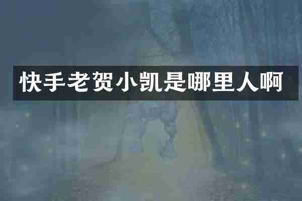 快手老贺小凯是哪里人啊