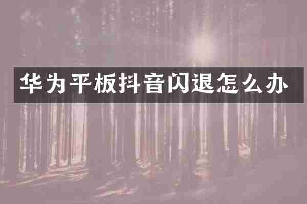 华为平板抖音闪退怎么办