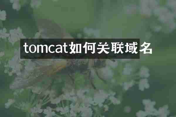 tomcat如何关联域名