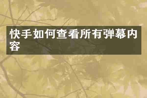 快手如何查看所有弹幕内容