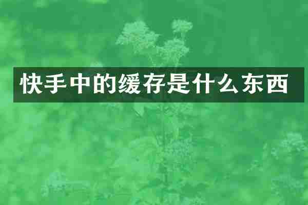 快手中的缓存是什么东西