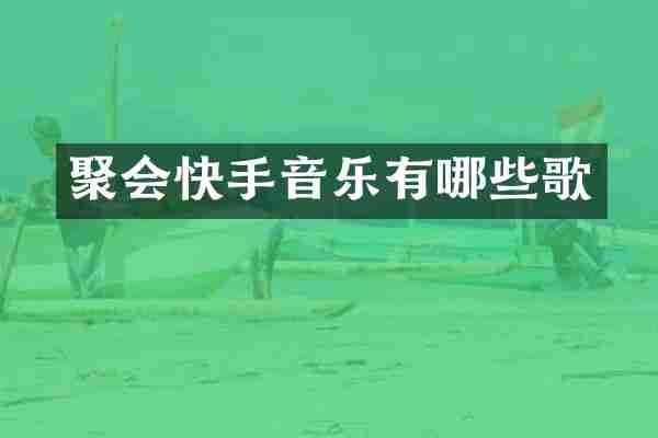 聚会快手音乐有哪些歌