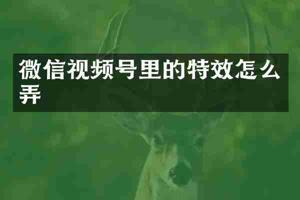 微信视频号里的特效怎么弄