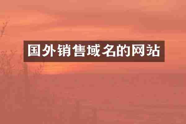 国外销售域名的网站