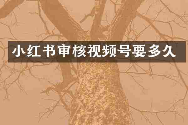 小红书审核视频号要多久
