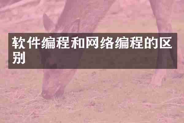 软件编程和网络编程的区别