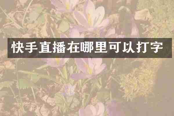 快手直播在哪里可以打字