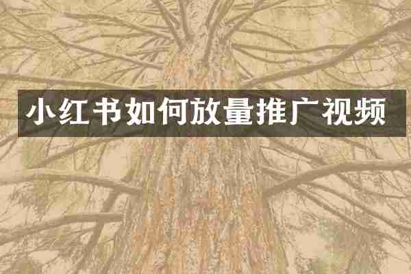 小红书如何放量推广视频