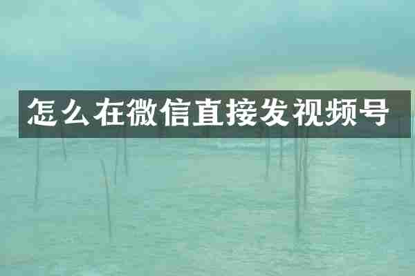 怎么在微信直接发视频号