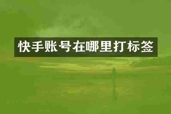 快手账号在哪里打标签