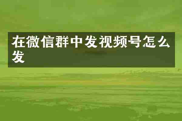 在微信群中发视频号怎么发