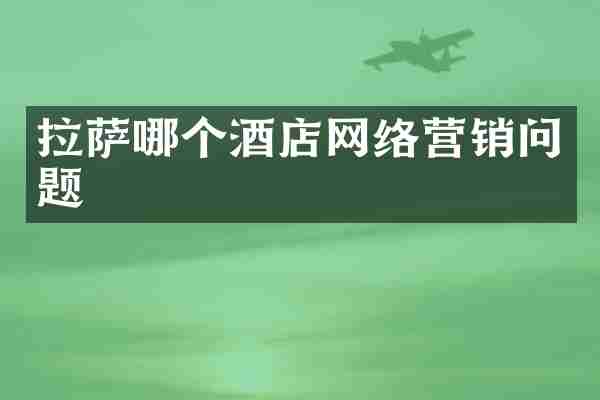 拉萨哪个酒店网络营销问题