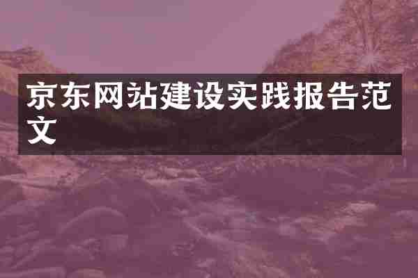 京东网站建设实践报告范文