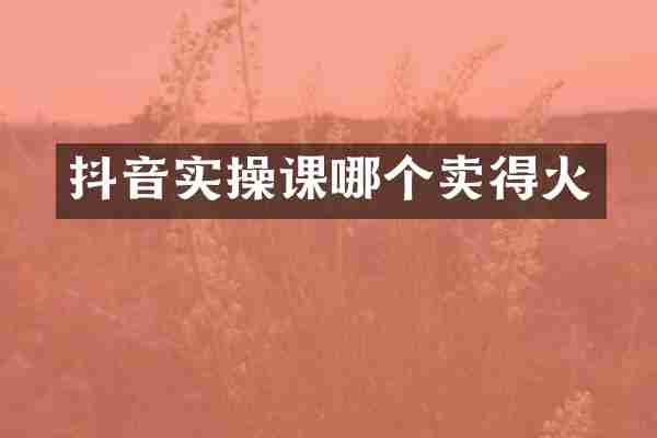 抖音实操课哪个卖得火