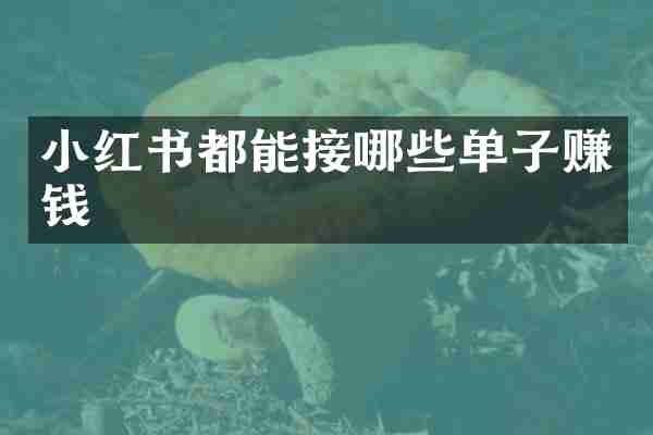 小红书都能接哪些单子赚钱