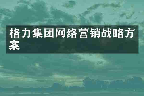 格力集团网络营销战略方案