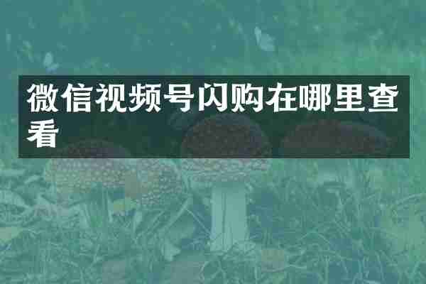微信视频号闪购在哪里查看