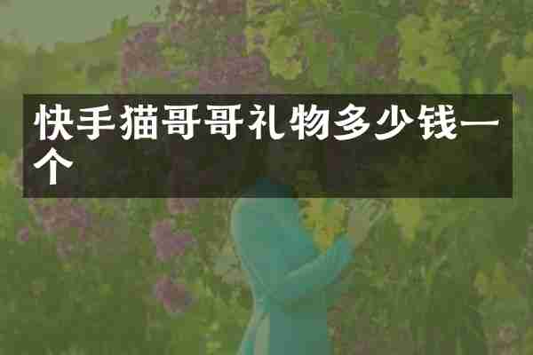 快手猫哥哥礼物多少钱一个