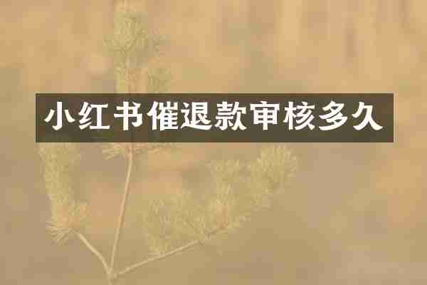 小红书催退款审核多久