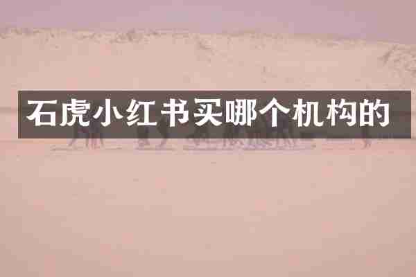 石虎小红书买哪个机构的